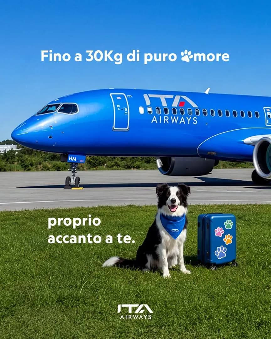 ITA Airways lancia il servizio “Large Dog On Board” per cani di grossa taglia a bordo