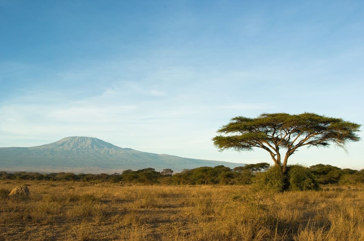 Da luglio 2026 nuovo volo diretto Neos da Milano per il Kilimanjaro