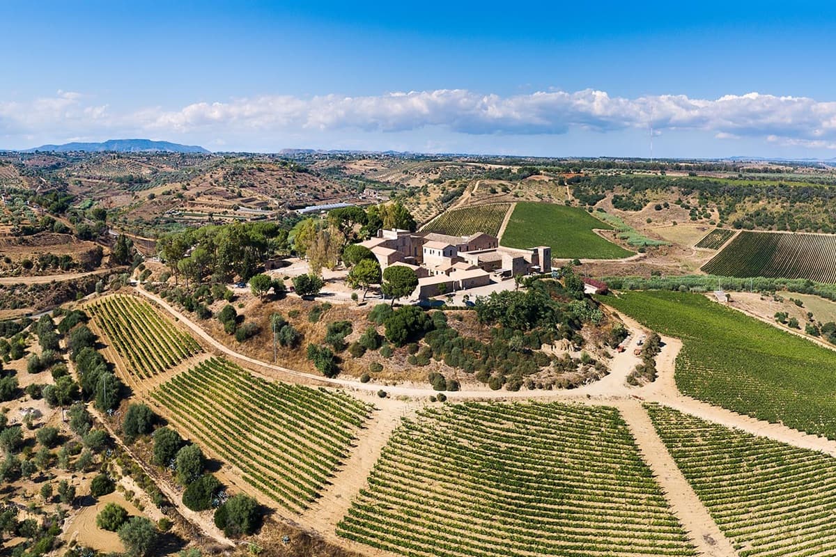 Feudi del Pisciotto, nel cuore della Sicilia Sudorientale il vino incontra la storia